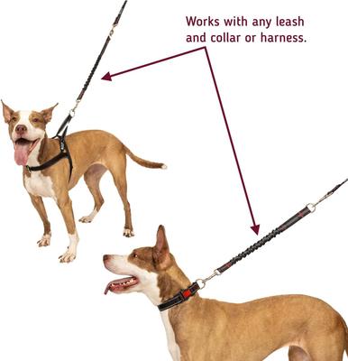 Show full view: Leash Boss Patterned Bungee Extension, 18-in, Black slide 4 of 6