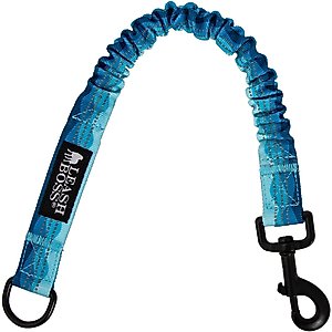 Leash Boss Patterned Bungee Extension, 18-in, Blue