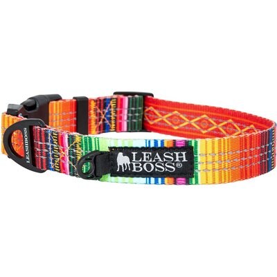 Leash Boss Leash Boss Patterned Dog Collar, Orange, Small