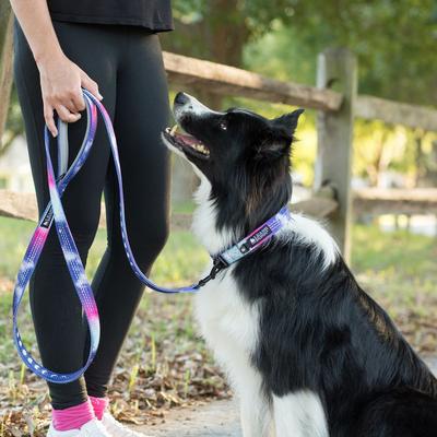 Show full view: Leash Boss Patterned Dog Collar, Purple/Pink, Large slide 6 of 7