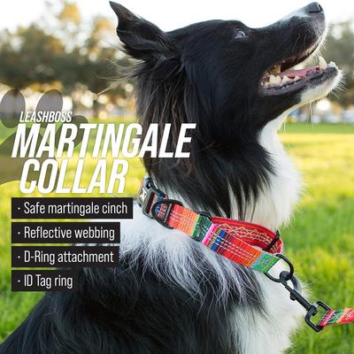 Show full view: Leash Boss Patterned Fabric Martingale Dog Collar, Orange, Med-Large slide 3 of 10