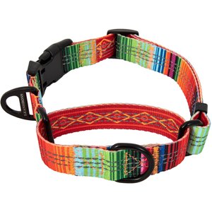 Leash Boss Patterned Fabric Martingale Dog Collar, Orange, Medium