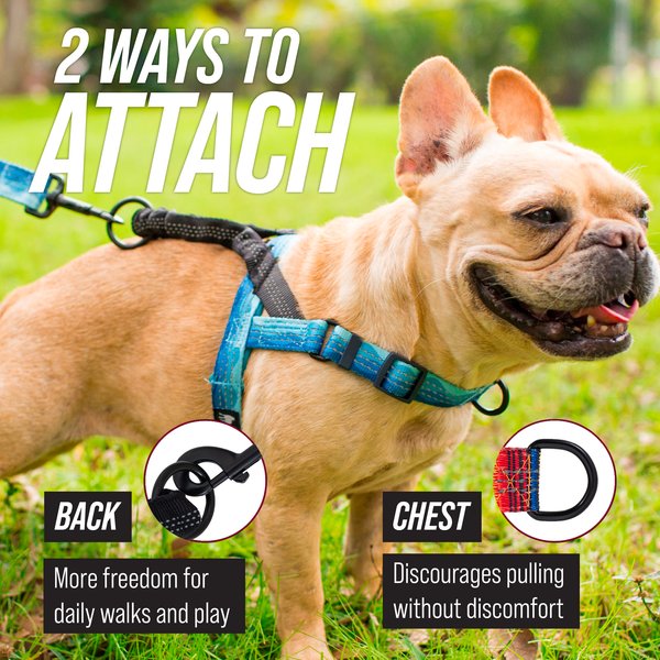 Leash Boss Patterned No Pull Dog Harness