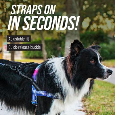 Show full view: Leash Boss Patterned No Pull Dog Harness, Purple/Pink, X-Large slide 9 of 10