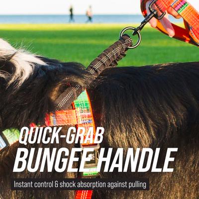 Show full view: Leash Boss Patterned No Pull Dog Harness, Purple/Pink, X-Large slide 7 of 10