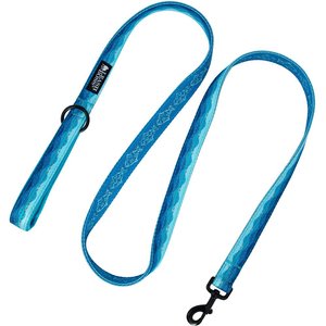 Leash Boss Patterned Standard Dog Leash, 6-ft long, Blue