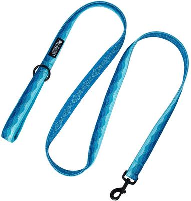Show full view: Leash Boss Patterned Standard Dog Leash, 6-ft long, Blue slide 6 of 8