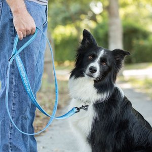 Leash Boss Patterned Standard Dog Leash, 6-ft long, Blue