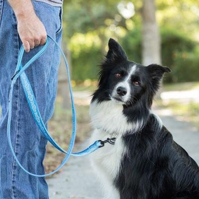 Show full view: Leash Boss Patterned Standard Dog Leash, 6-ft long, Blue slide 7 of 8