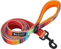 Leash Boss Patterned Standard Dog Leash, 6-ft long, Orange
