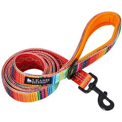 Leash Boss Patterned Standard Dog Leash, 6-ft long, Orange
