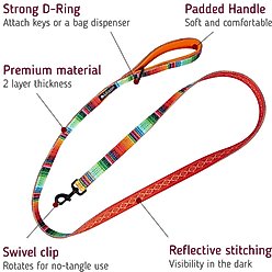 Leash Boss Patterned Standard Dog Leash, 6-ft long, Orange slide 2 of 6
