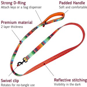 Leash Boss Patterned Standard Dog Leash, 6-ft long, Orange