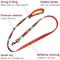 Show in main carousel: Leash Boss Patterned Standard Dog Leash, 6-ft long, Orange slide 3 of 8