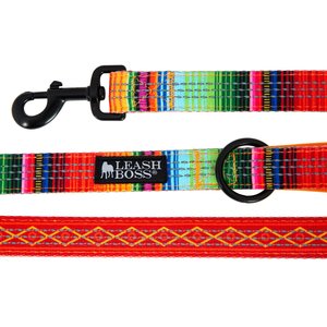 Leash Boss Patterned Standard Dog Leash, 6-ft long, Orange