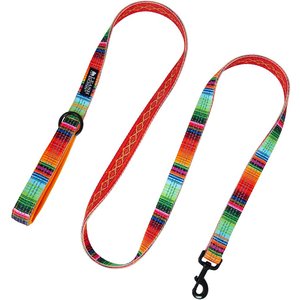 Leash Boss Patterned Standard Dog Leash, 6-ft long, Orange