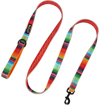 Show full view: Leash Boss Patterned Standard Dog Leash, 6-ft long, Orange slide 6 of 8