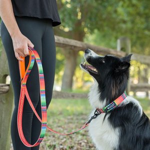 Leash Boss Patterned Standard Dog Leash, 6-ft long, Orange