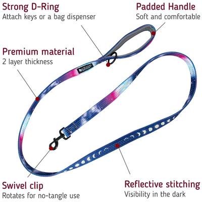 Show full view: Leash Boss Patterned Standard Dog Leash, 6-ft long, Purple/Pink slide 2 of 7