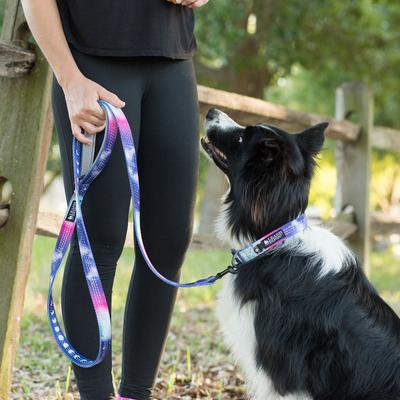 Show full view: Leash Boss Patterned Standard Dog Leash, 6-ft long, Purple/Pink slide 6 of 7