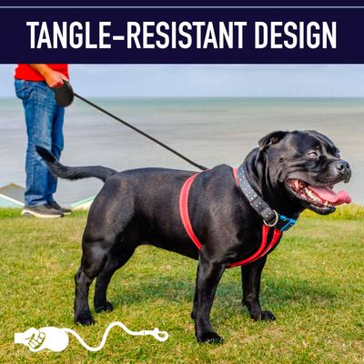 Show full view: Leash Boss Plastic Retractable Dog Leash, One Size: 16-ft long, 1/2-inch wide, Black slide 4 of 10