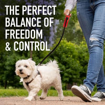 Show full view: Leash Boss Plastic Retractable Dog Leash, One Size: 16-ft long, 1/2-inch wide, Red slide 7 of 10