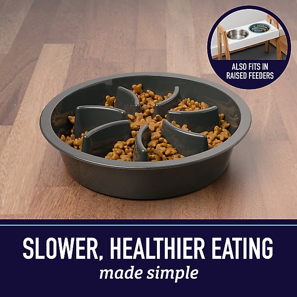 Leash Boss Raised Pet Feeders Slow Feed Dog Bowl