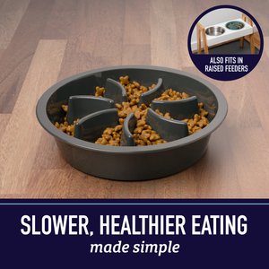 Leash Boss Raised Pet Feeders Slow Feed Dog Bowl, 4-cup, Gray