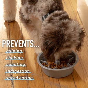 Leash Boss Raised Pet Feeders Slow Feed Dog Bowl, 4-cup, Gray
