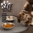 Show in main carousel: Leash Boss Silicone Water Fountain Mat, Black, Large slide 3 of 9