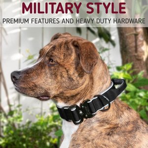 Leash Boss Solid Tactical Dog Collar, Black, Large