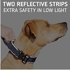 Leash Boss Solid Tactical Dog Collar, Navy, Large