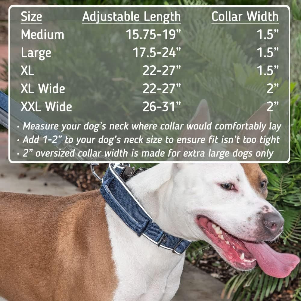 Colar Boss LEASH BOSS Solid Tactical Dog Collar, Navy, Medium - Chewy.com