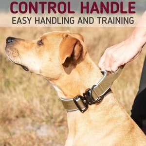 Leash Boss Solid Tactical Dog Collar, Tan, Large