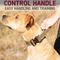Show in main carousel: Leash Boss Solid Tactical Dog Collar, Tan, Medium slide 5 of 9