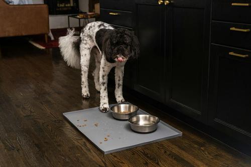 Show full view: Leash Boss Splash Tall Lip Dog Food Mat, Navy, Small slide 7 of 11