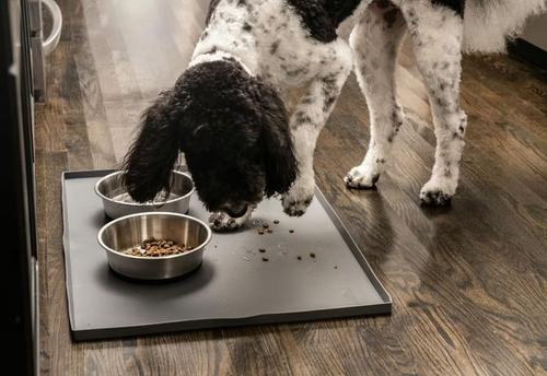 Show full view: Leash Boss Splash Tall Lip Dog Food Mat, Navy, X-Large slide 7 of 10