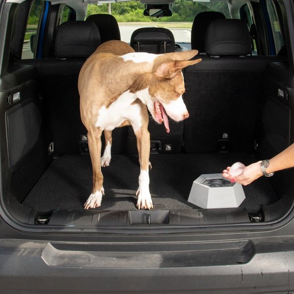 Leash Boss Splashless Travel Dog Water Bowl, Gray, 40-oz cup
