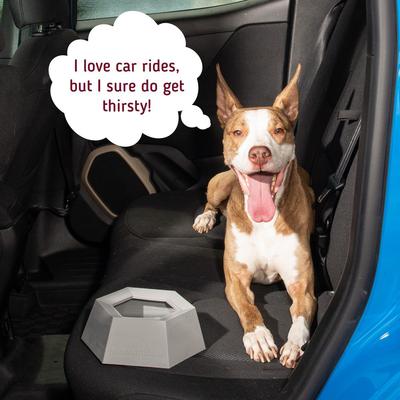 Show full view: Leash Boss Splashless Travel Dog Water Bowl, Gray, 40-oz cup slide 9 of 10