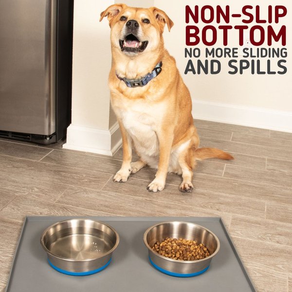 Show full view: Leash Boss Stainless Steel Silicone Base Dog Bowl, Medium/Large, Blue, 1 count slide 4 of 7