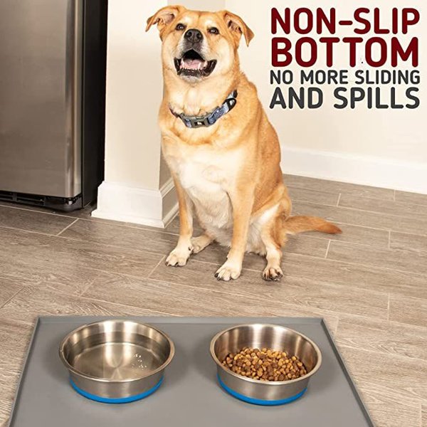 Show full view: Leash Boss Stainless Steel Silicone Base Dog Bowl, Medium/Large, Blue, 2 count slide 4 of 7