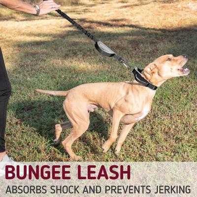 Show full view: Leash Boss Tactical Two Handle Dog Leash, Black, 3-ft slide 7 of 8