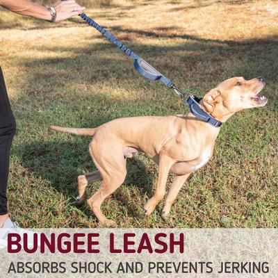 Show full view: Leash Boss Tactical Two Handle Dog Leash, Navy, 3-ft slide 6 of 7