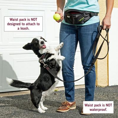 Show full view: Leash Boss Training Waist Belt, Black slide 5 of 7