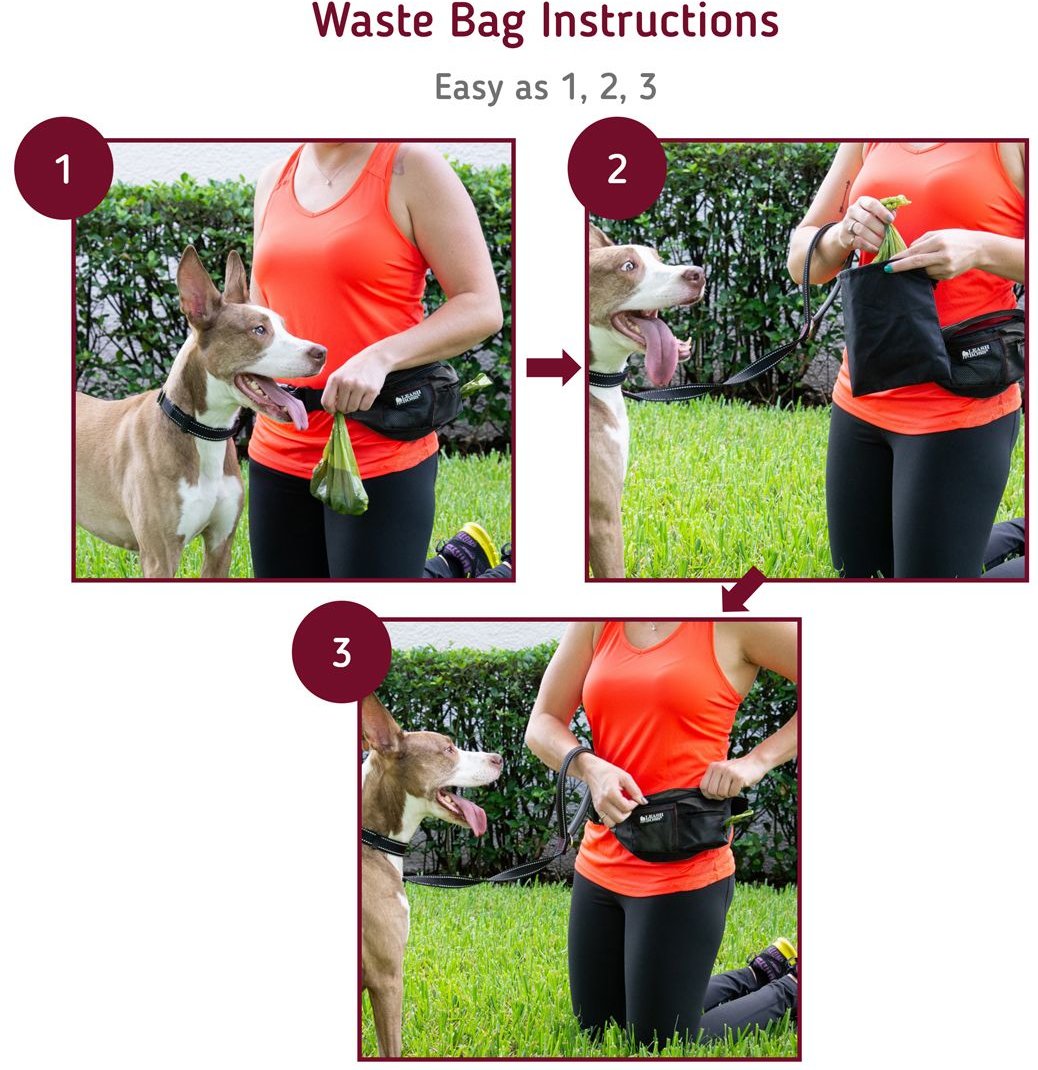 Leash Boss Training Waist Belt