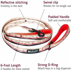 Leash Boss Two Handle Dog Leash, 6-ft long, Beige/Red slide 2 of 6