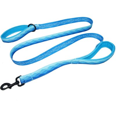 Leash Boss Leash Boss Two Handle Dog Leash, 6-ft long, Blue