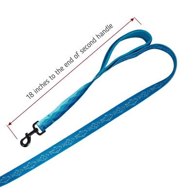 Show full view: Leash Boss Two Handle Dog Leash, 6-ft long, Blue slide 5 of 7