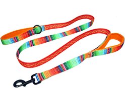 Leash Boss Two Handle Dog Leash, 6-ft long, Orange