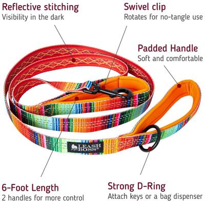 Show full view: Leash Boss Two Handle Dog Leash, 6-ft long, Orange slide 2 of 7